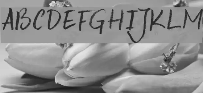 DK Keswick Font examples