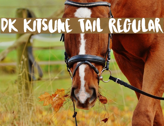 DK Kitsune Tail Regular Font examples