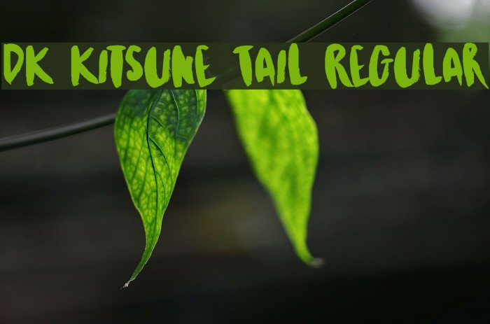 DK Kitsune Tail Regular Font examples