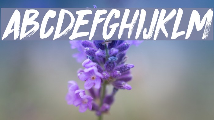 DK Knucklebones Regular Caratteri examples