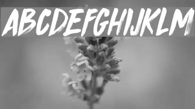 DK Knucklebones Regular Font examples