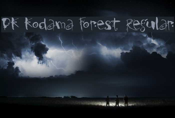 DK Kodama Forest Regular Example 3