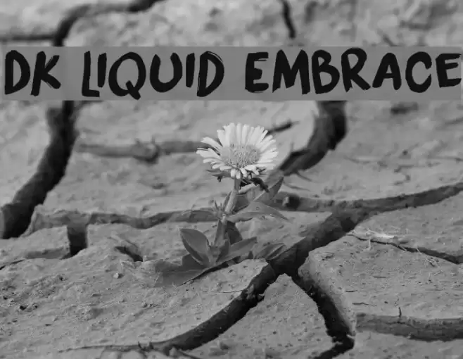 DK Liquid Embrace Font examples