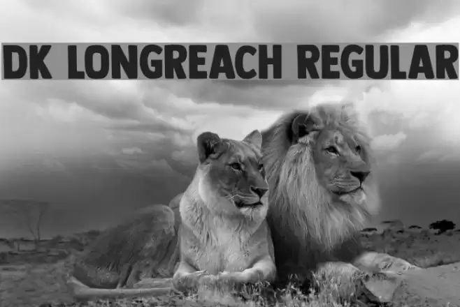 DK Longreach Regular Font examples
