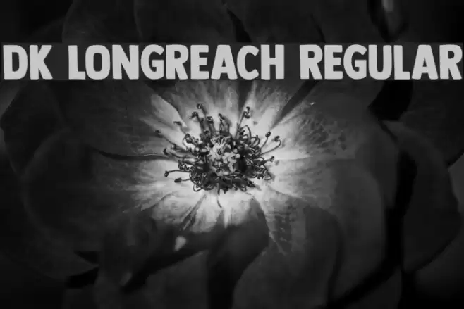 DK Longreach Regular Font examples
