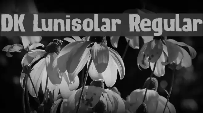 DK Lunisolar Regular Example 1