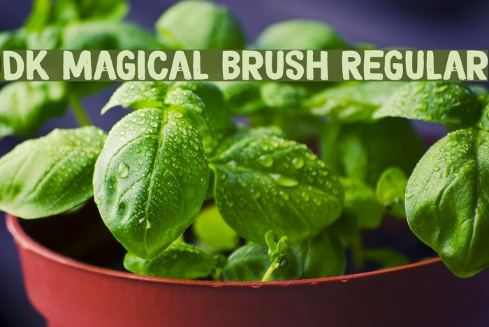 DK Magical Brush Regular Font examples