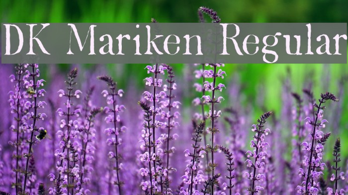 DK Mariken Regular Font examples
