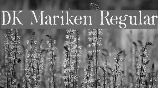 DK Mariken Regular Example 1