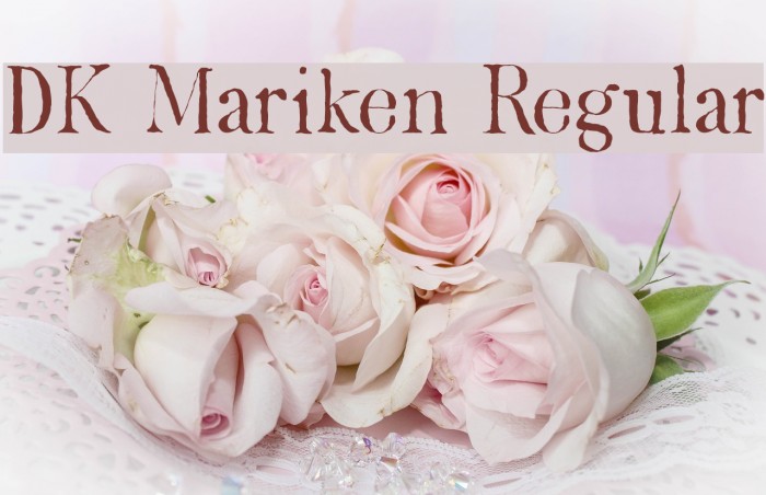 DK Mariken Regular Font examples