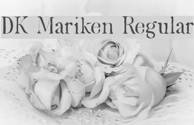 DK Mariken Regular Example 3