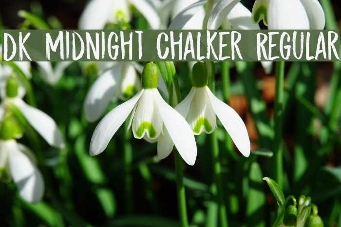 DK Midnight Chalker Regular Example 1