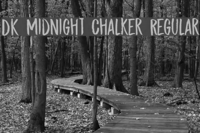 DK Midnight Chalker Regular Font examples