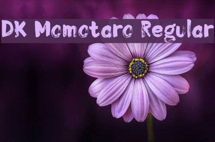 DK Momotaro Regular Example 1