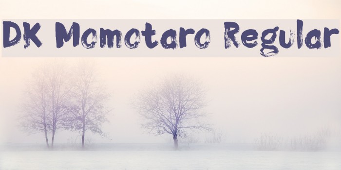 DK Momotaro Regular Example 3