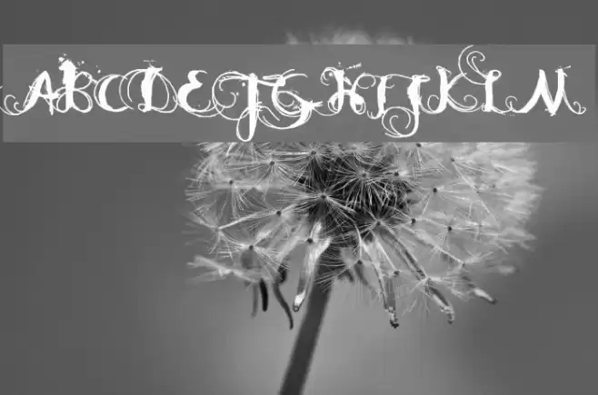 DK Moonlight Shadow Font examples