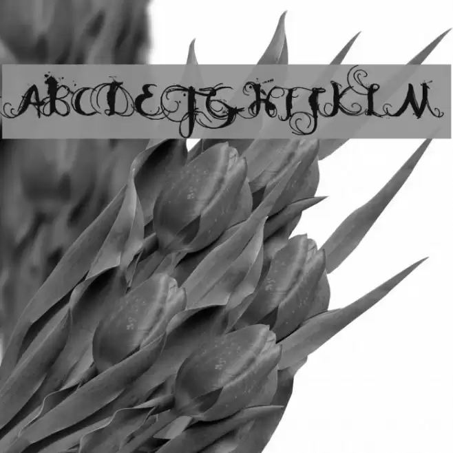 DK Moonlight Shadow Font examples