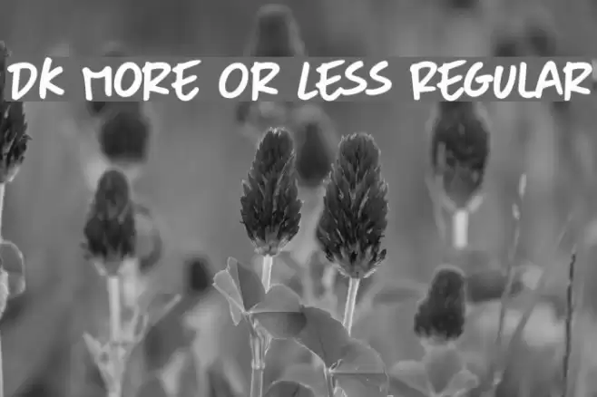 DK More Or Less Regular Schriftart examples