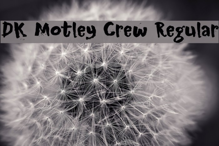 DK Motley Crew Regular Font examples