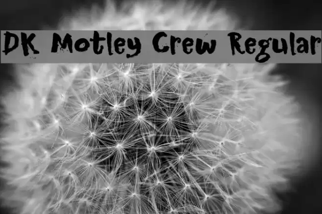 DK Motley Crew Regular Font examples