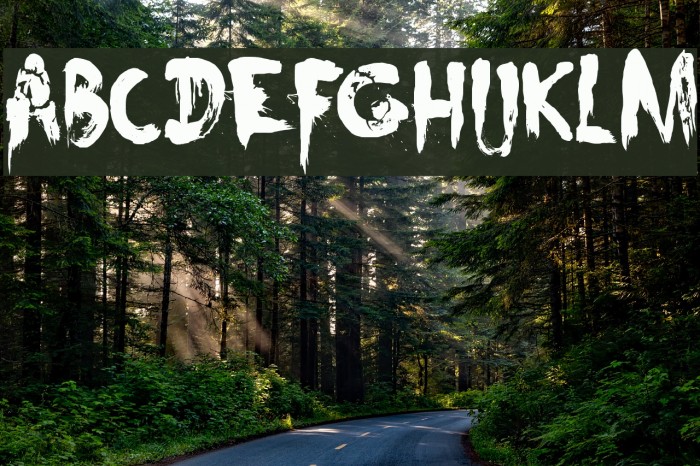 DK Nightbird Example 3