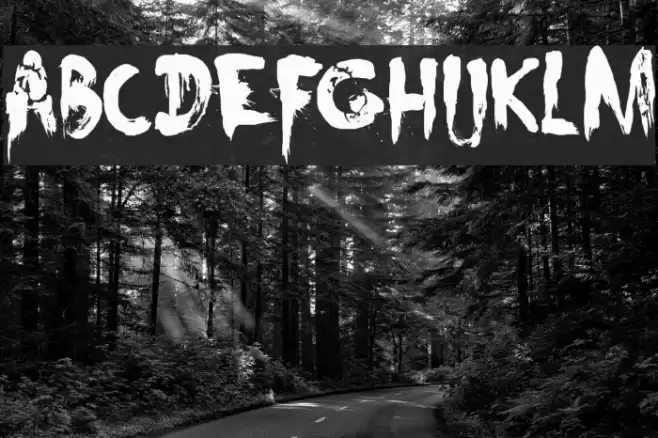 DK Nightbird Font examples