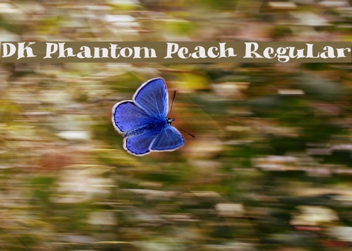 DK Phantom Peach Regular फ़ॉन्ट examples
