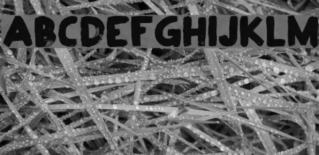 DK Plakkaat Font examples