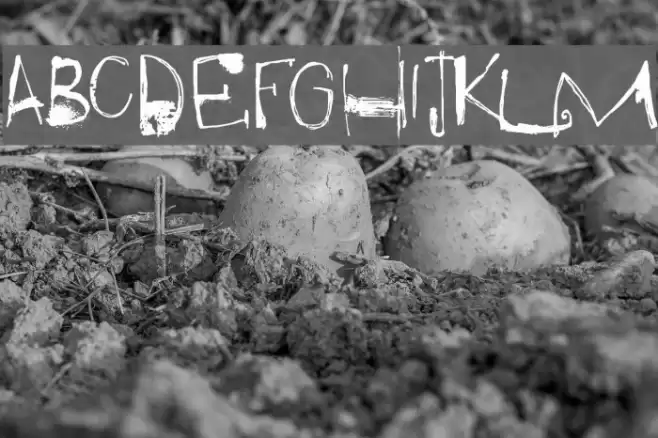 DK Qilin Regular Font examples