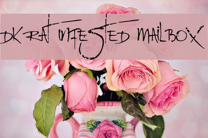 DK Rat Infested Mailbox Font examples