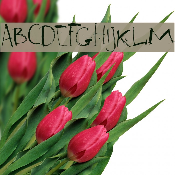 DK Ravenheart Regular Font examples