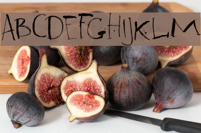 DK Ravenheart Regular Font examples