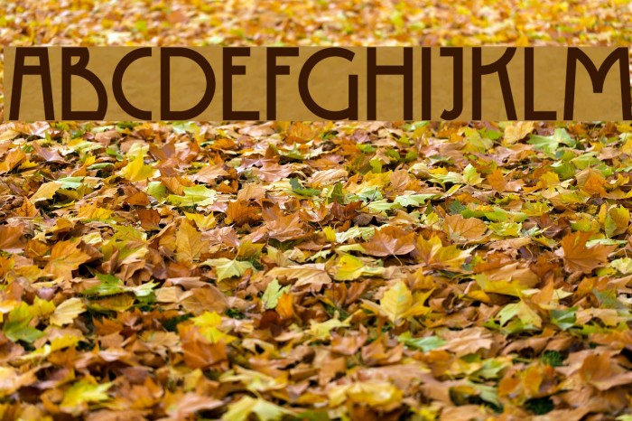 DK Rotorua Regular Font examples