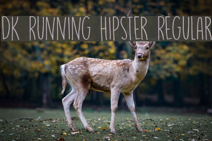 DK Running Hipster Regular Font examples