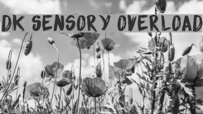 DK Sensory Overload Font examples