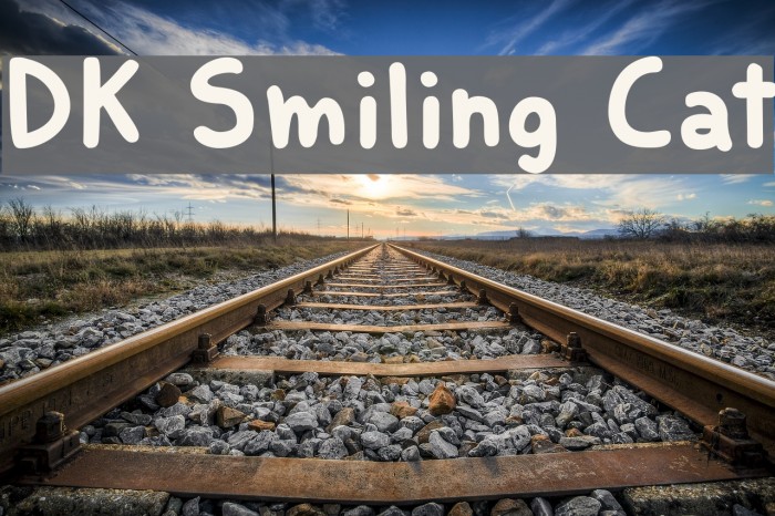 DK Smiling Cat Example 3
