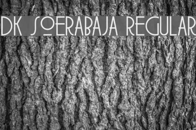 DK Soerabaja Regular Font examples