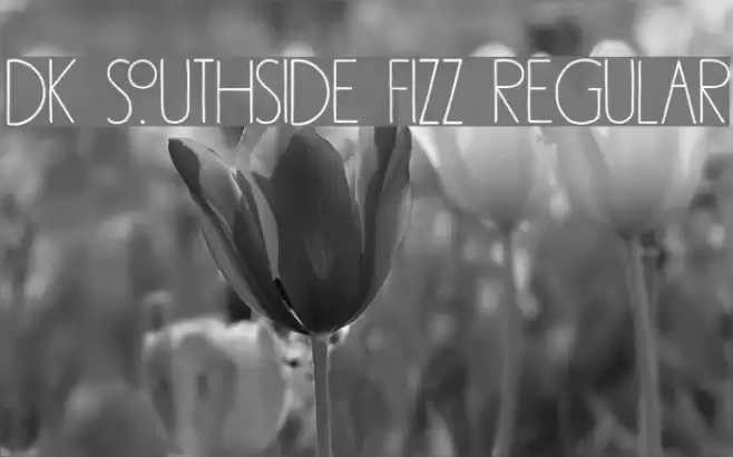 DK Southside Fizz Regular Font examples