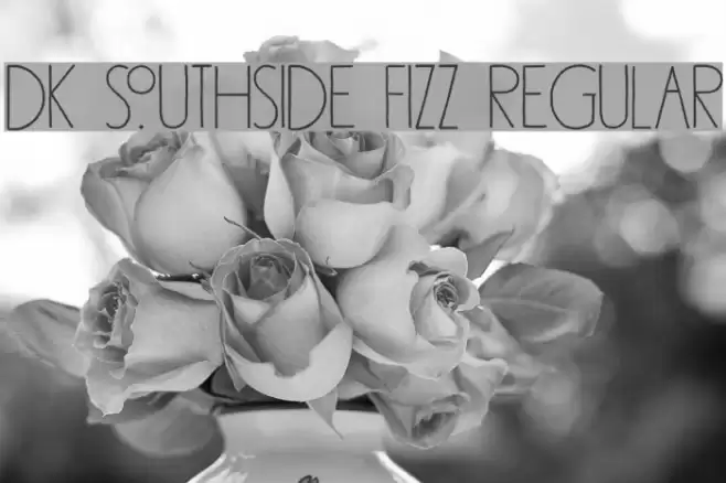 DK Southside Fizz Regular Font examples