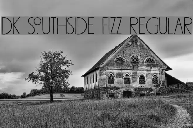DK Southside Fizz Regular Font examples