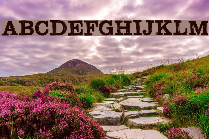 DK Southwark Regular Font examples