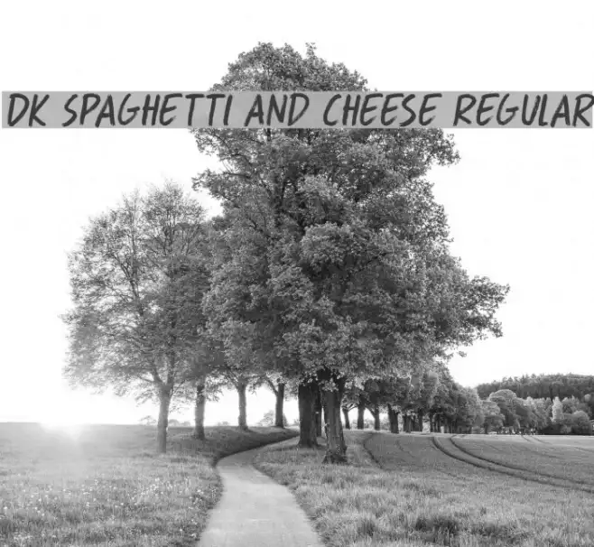 DK Spaghetti And Cheese Regular Example 3