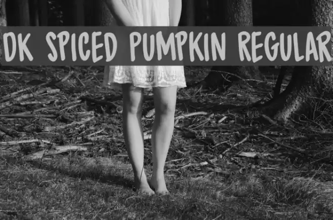 DK Spiced Pumpkin Regular Font examples