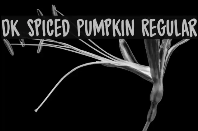 DK Spiced Pumpkin Regular Font examples
