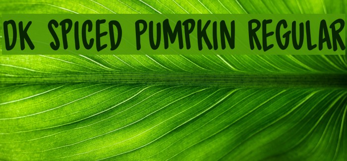 DK Spiced Pumpkin Regular Font examples