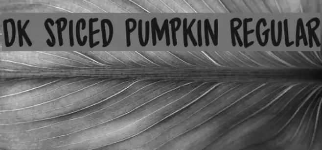 DK Spiced Pumpkin Regular Font examples