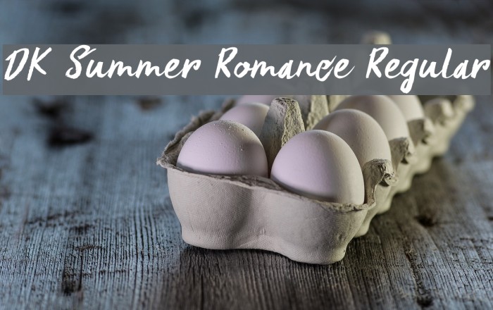 DK Summer Romance Regular Font examples