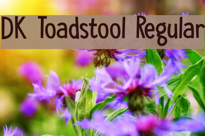 DK Toadstool Regular Font examples