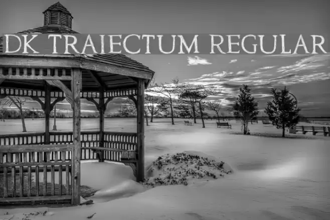 DK Traiectum Regular Font examples