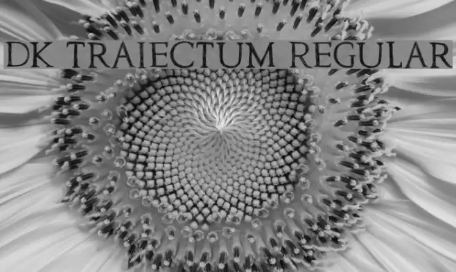 DK Traiectum Regular Font examples